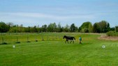 Enlarge photo 32
