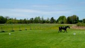 Enlarge photo 31