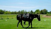 Enlarge photo 29