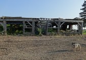 Enlarge photo 154