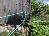 Enlarge photo 75