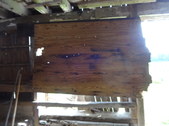 Enlarge photo 51