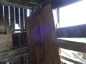 Enlarge photo 54