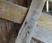 Enlarge photo 58