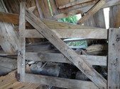 Enlarge photo 62