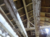 Enlarge photo 93