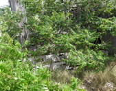 Enlarge photo 90