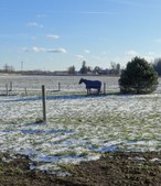 Enlarge photo 131