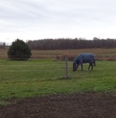 Enlarge photo 125