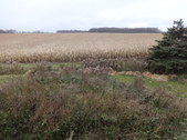 Enlarge photo 110