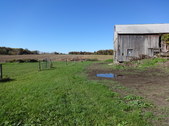 Enlarge photo 136