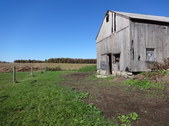 Enlarge photo 137