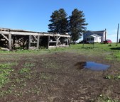 Enlarge photo 141