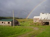 Enlarge photo 160