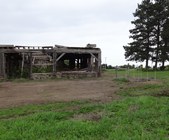 Enlarge photo 146