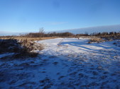 Enlarge photo 71