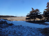 Enlarge photo 72