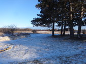 Enlarge photo 61