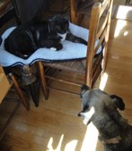 Enlarge photo 11