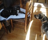 Enlarge photo 12