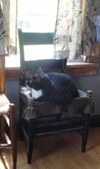 Enlarge photo 22