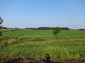 Enlarge photo 57