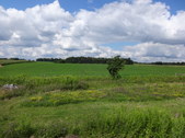 Enlarge photo 54