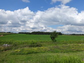 Enlarge photo 53