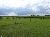 Enlarge photo 55