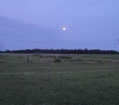 Enlarge photo 66