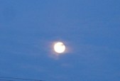 Enlarge photo 67