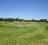 Enlarge photo 83