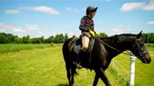 Enlarge photo 97