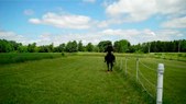 Enlarge photo 86
