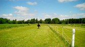 Enlarge photo 89