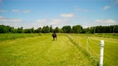 Enlarge photo 91