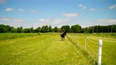 Enlarge photo 92