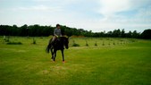 Enlarge photo 73