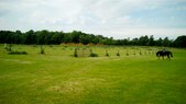 Enlarge photo 76