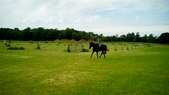 Enlarge photo 78