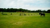 Enlarge photo 79