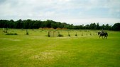 Enlarge photo 80