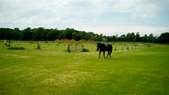 Enlarge photo 81