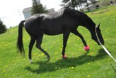 Enlarge photo 102