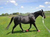 Enlarge photo 103