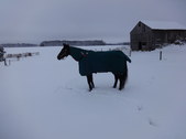 Enlarge photo 3