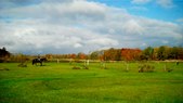 Enlarge photo 27