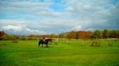 Enlarge photo 30