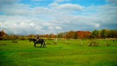 Enlarge photo 32