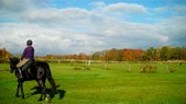 Enlarge photo 37